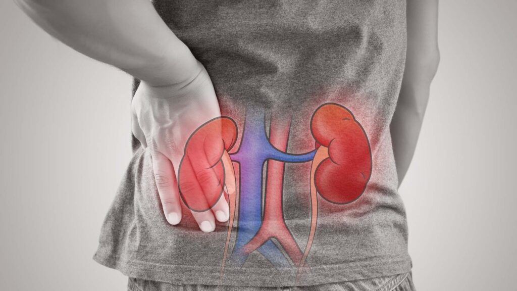 Difference Between Acute Kidney Failure and Chronic Kidney Failure