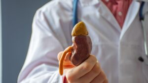 How Kidney Transplant Physician in Kolkata Plays An Important Role