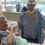 kidney